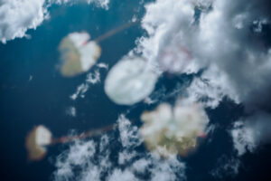 写真作品
