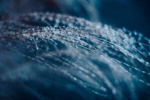 写真作品