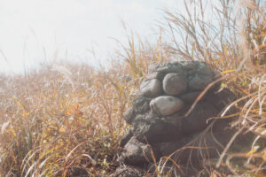 写真作品