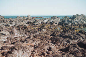 写真作品