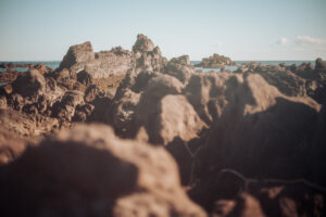 写真作品
