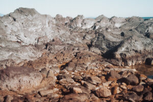 写真作品