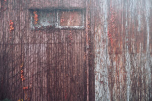 写真作品