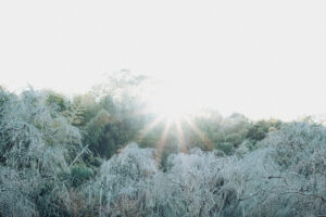 写真作品