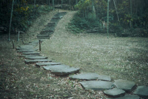 写真作品