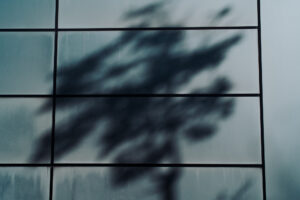 写真作品