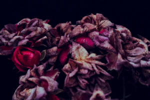 写真作品