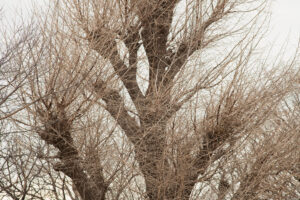 写真作品