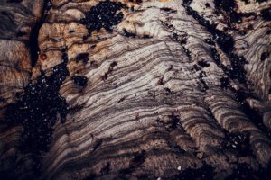 写真作品