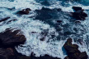 写真作品