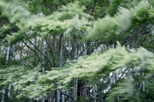 写真作品