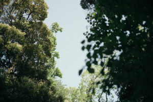 写真作品