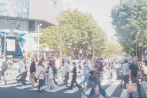 写真作品