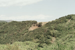 写真作品