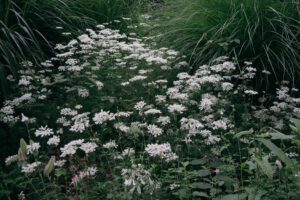 写真作品