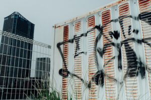 写真作品