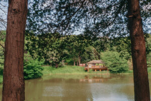 写真作品