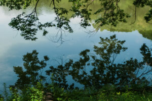 写真作品
