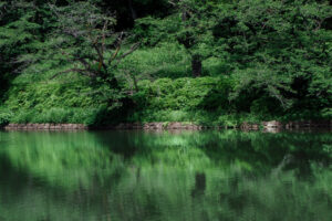 写真作品