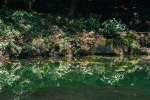 写真作品
