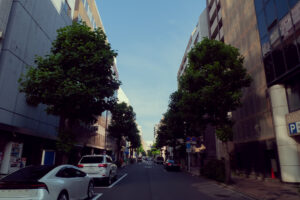 写真作品