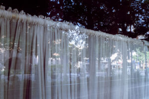 写真作品