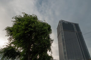 写真作品