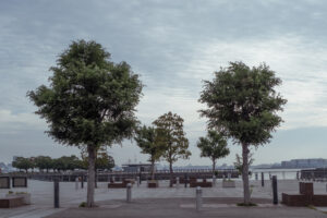 写真作品