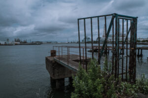 写真作品