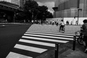 写真作品