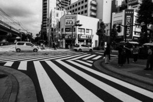 写真作品