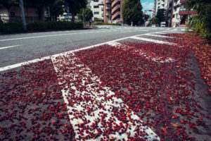 写真作品