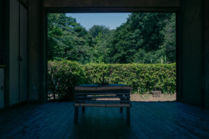 写真作品