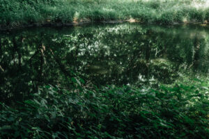 写真作品