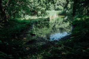 写真作品