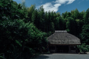 写真作品