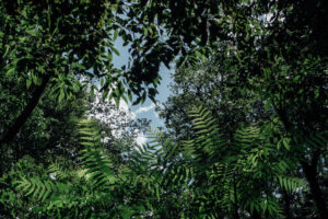 写真作品