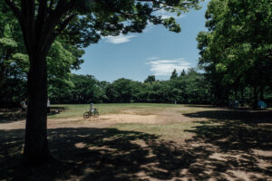 写真作品