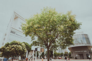 写真作品