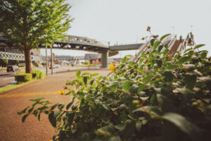 写真作品