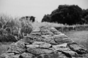 写真作品
