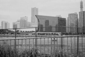 写真作品