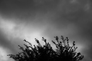 写真作品