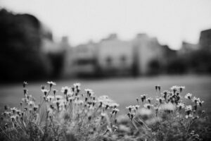写真作品