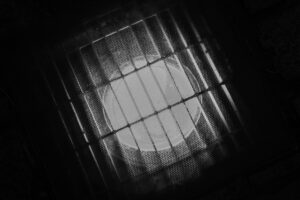写真作品