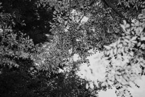 写真作品