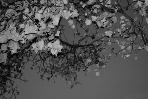 写真作品