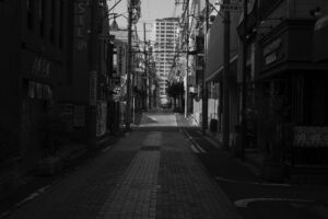 写真作品