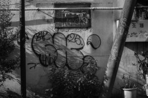 写真作品