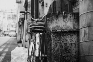 写真作品